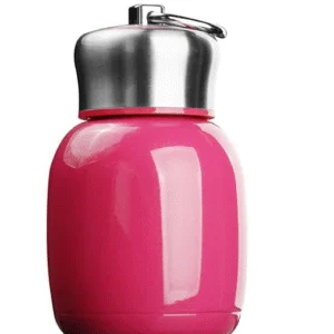 Small Mini Vacuum Insulated Water Bottle Portable