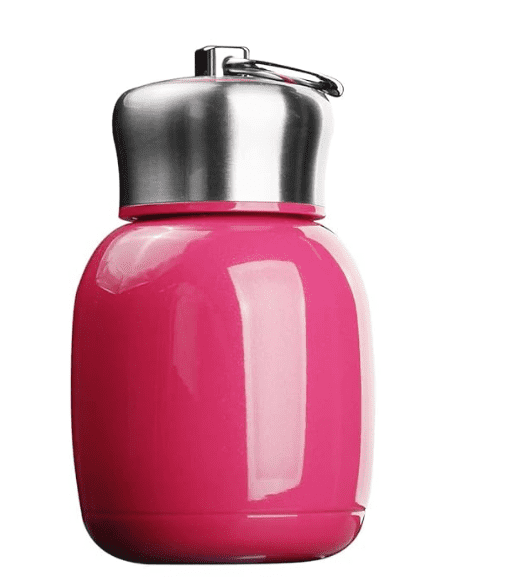 Small Mini Vacuum Insulated Water Bottle Portable